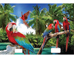 Sešit A5 linka 524 20 listů 3D Papoušci