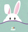 Oxy Bunny
