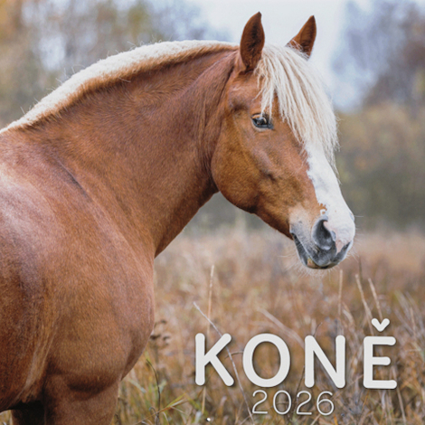 Kalendáře nástěnné
