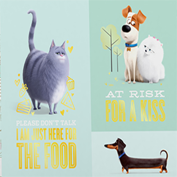 Pets - mazlíčkové