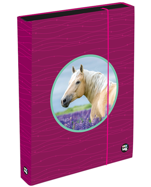 Box na sešity A4 Jumbo OXY Sherpy Pink 313237