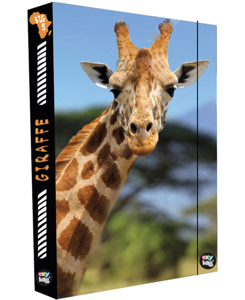 Oxybag Box na sešity A4 Jumbo Žirafa 309576