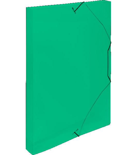 Box s gumou tříklopý průhledný zelený 129891