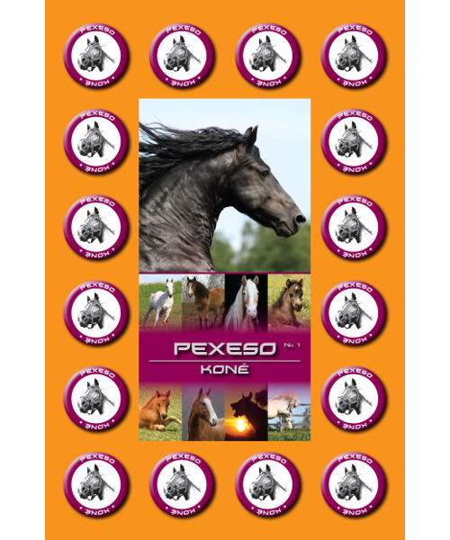 Pexeso Koně 957416