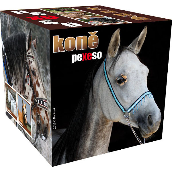 Pexeso Koně v papírovém boxu 957456