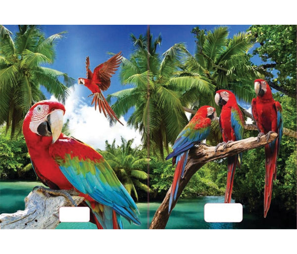 Sešit A5 linka 524 20 listů 3D Papoušci papousci