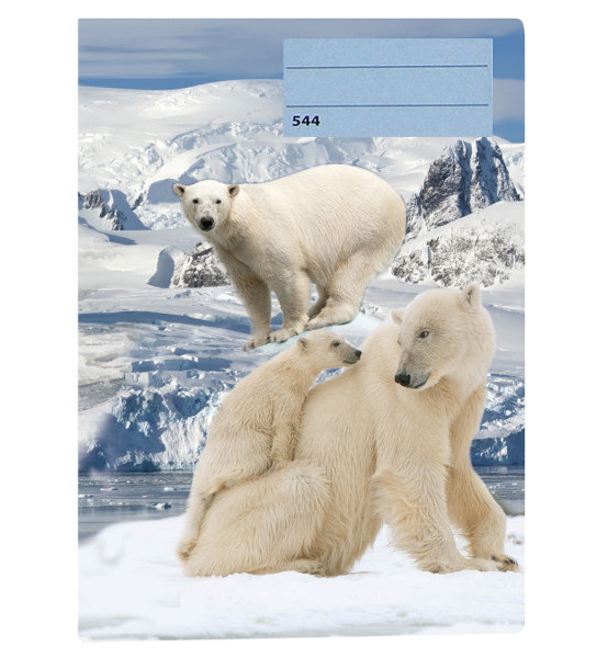 Sešit A5 linka 544 40 listů 3D Lední medvědi medv