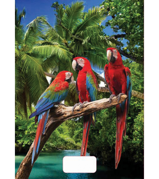 Sešit A5 linka 544 40 listů 3D Papoušci papousci