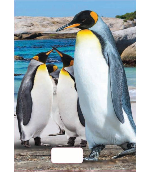 Sešit A5 linka 544 40 listů 3D Tučňáci tucnaci