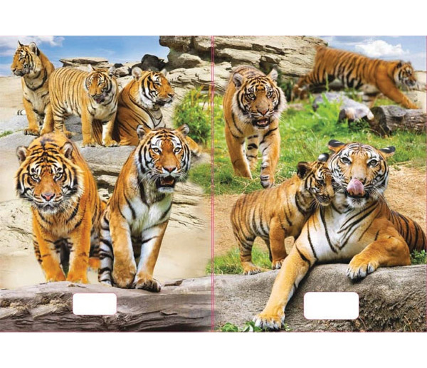 Sešit A5 linka 544 40 listů 3D Tygři tygri