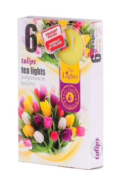 Svíčka čajová Tulips 6ks 952218