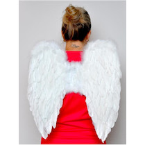 Andělská křídla 50x50 cm