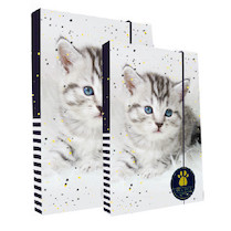 Box na sešity A4+A5 Kočka