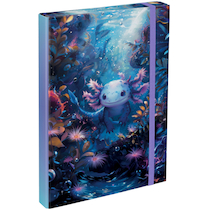 Box na sešity A4 Axolotl