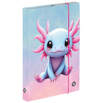 Box na sešity A4 Axolotl