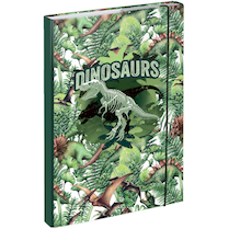 Box na sešity A4 Dinosaurus