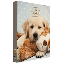 Box na sešity A4 Jumbo  Be mine