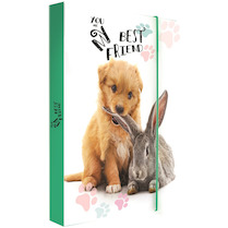 Box na sešity A4 Jumbo Pets 2020