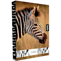 Box na sešity A4 Jumbo Zebra