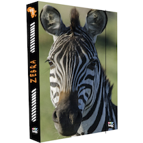 Box na sešity A4 Jumbo Zebra