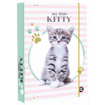 Box na sešity A4 Kočka 2020