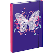 Box na sešity A4 Motýl