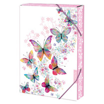 Box na sešity A4 Motýlci