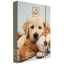 Box na sešity A5 Jumbo Be Mine 2020