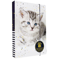Box na sešity A5 Kočka