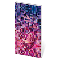 Diář školní Stil Craftgirl