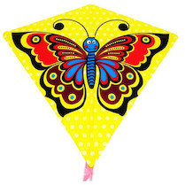Drak Motýl 73x68cm 