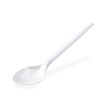 Lžíce BIO 17cm 100ks