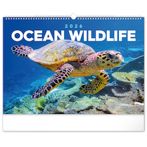 Nástěnný kalendář Oceán 48x33cm