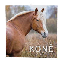 Nástěnný poznámkový kalendář Koně