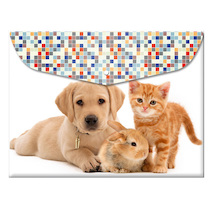 Obálka plastová s drukem A4 Kočka a Pes