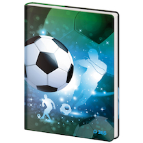 Památník Stil Football