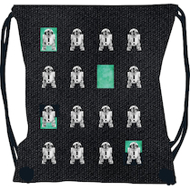 Sáček na cvičky R2D2 Star Wars