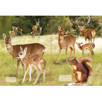 Sešit A5 čistý 520 20 listů 3D Lesní zvěř