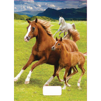 Sešit A5 linka 524 20 listů 3D Koně