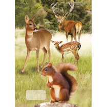 Sešit A5 linka 524 20 listů 3D Lesní zvěř