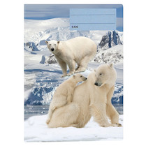 Sešit A5 linka 544 40 listů 3D Lední medvědi