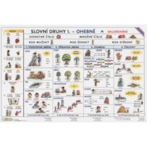 Slovní druhy I. - ohebné a skloňování časování