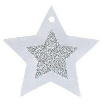 Vánoční jmenovky na dárky hvězdy stříbrné 12ks