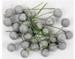 Dekorační ovoce Cesmína 12mm stříbrné glittrové