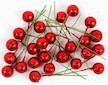 Dekorační ovoce Cesmína 12mm červené glittrové