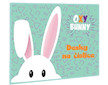 Desky na číslice Oxy Bunny