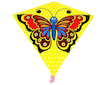 Drak Motýl 73x68cm