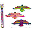 Drak Orel 132x59,5cm 