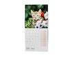 Nástěnný poznámkový kalendář Kočky