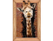 Samolepicí dekorace na stěnu PVC žirafa 50x70 cm